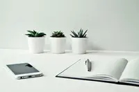 Three White Ceramic Pots With Green Leaf Plants Before Upscale