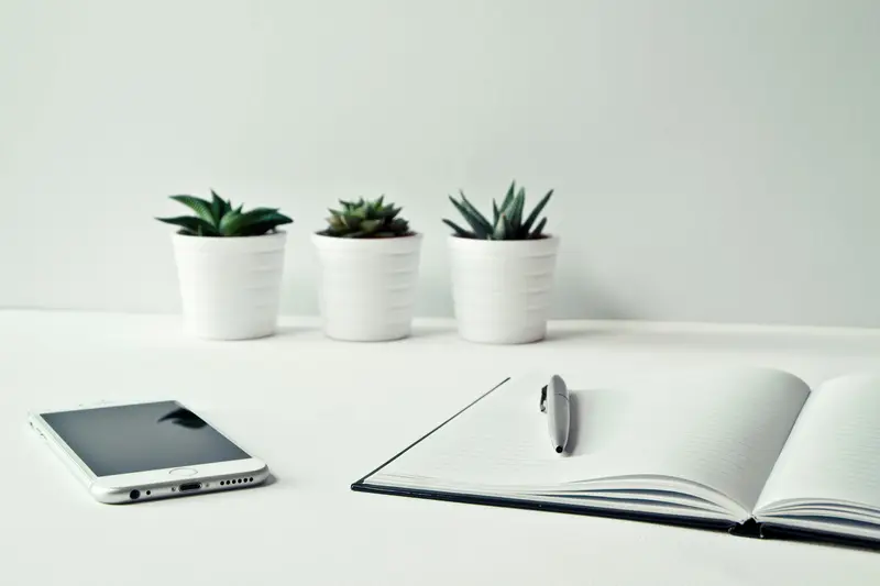 Three White Ceramic Pots With Green Leaf Plants After Upscale